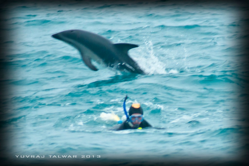 Hey, were did she go?