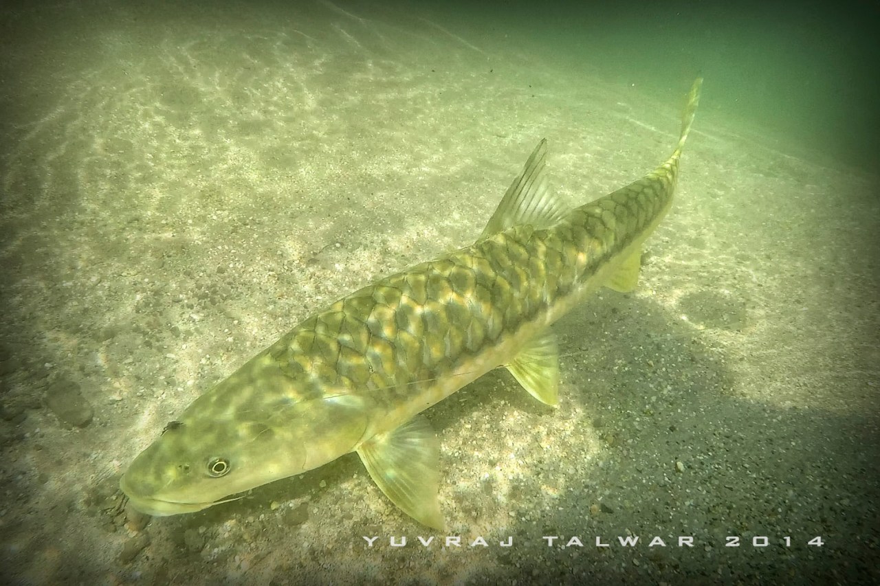 GOPR2713[(002483)2016-12-25-20-15-06]_tonemapped_1