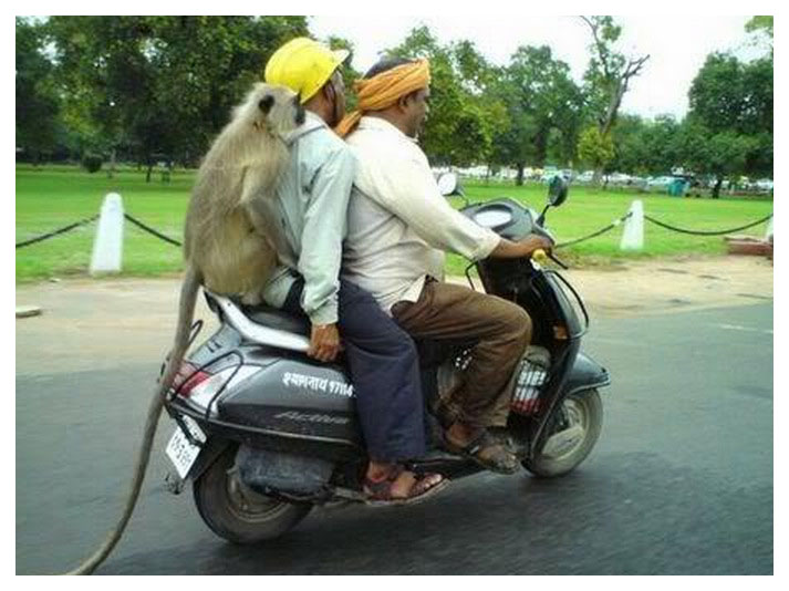 Tips For Driving In India