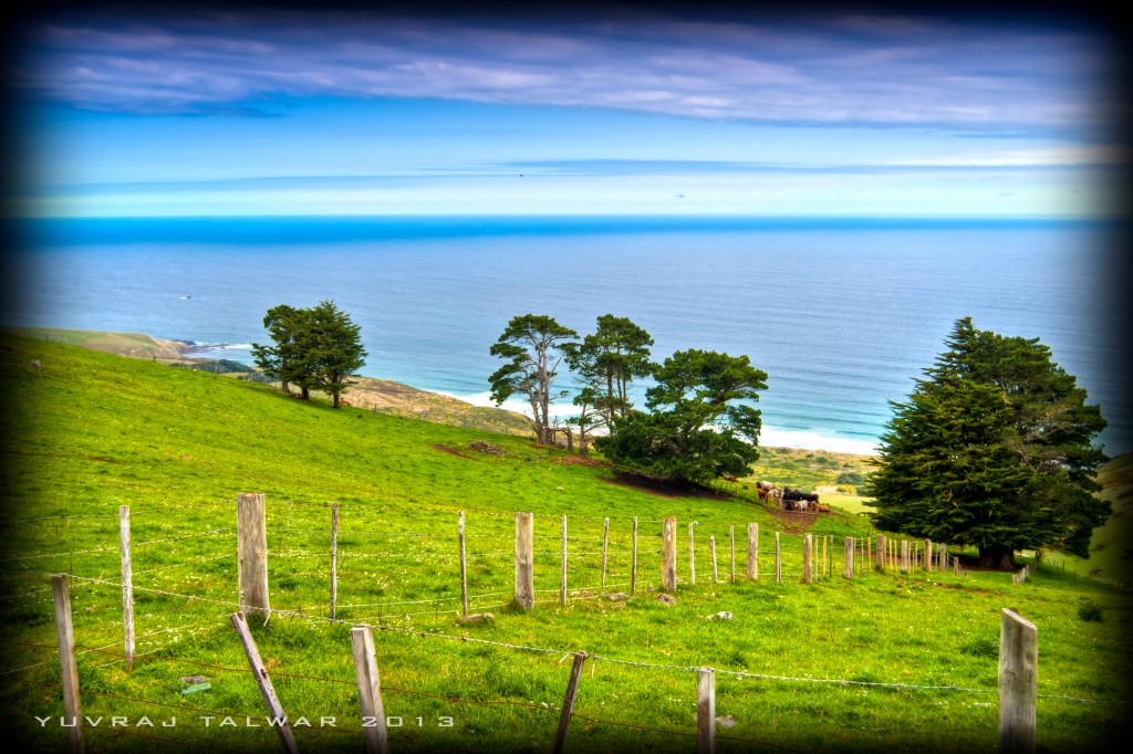 Dunedin - DSC_4365_tonemapped