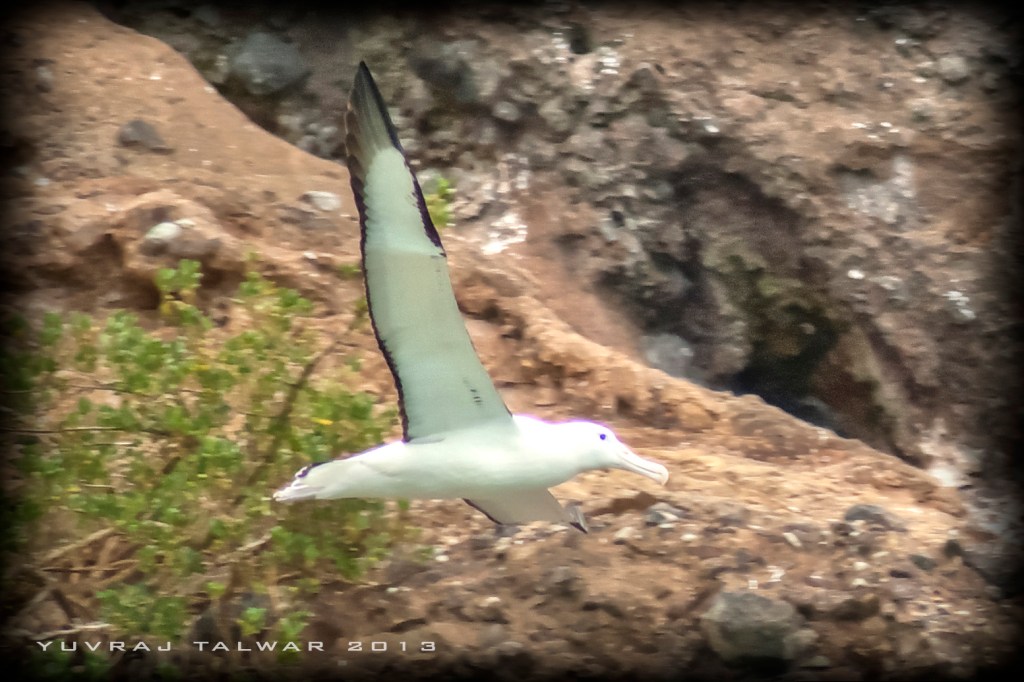 Dunedin - DSC_4512_tonemapped
