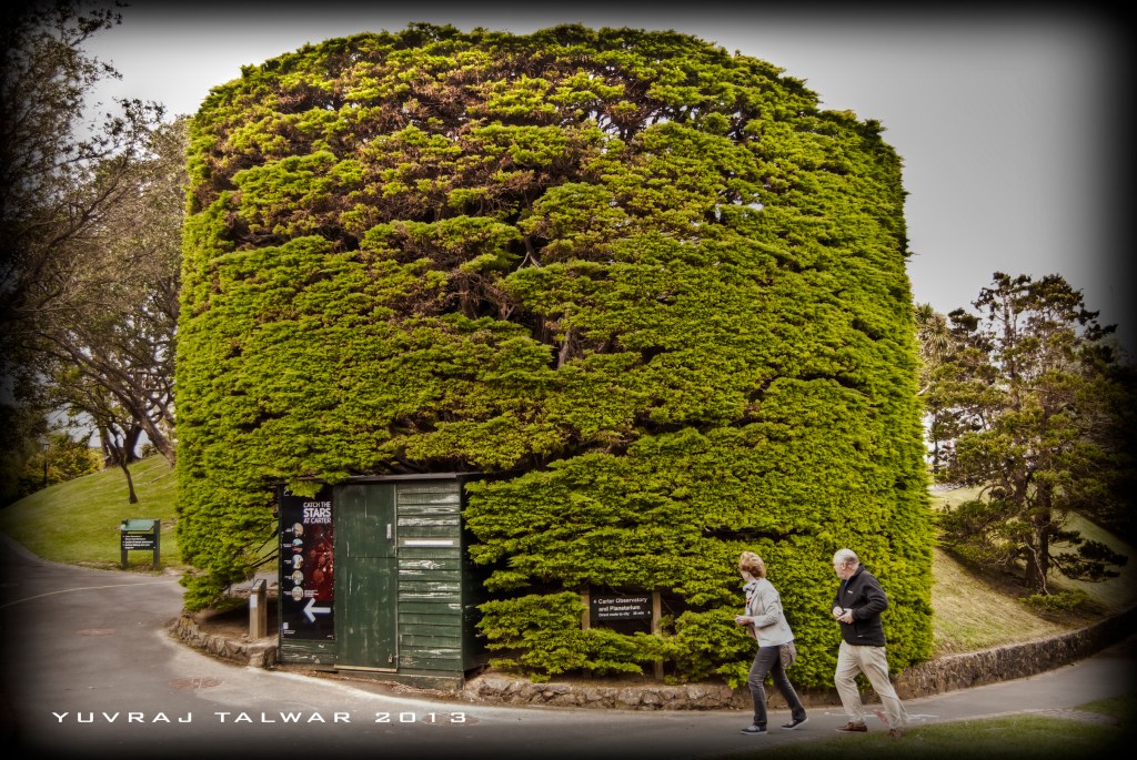 Wellington - DSC_3585_tonemapped