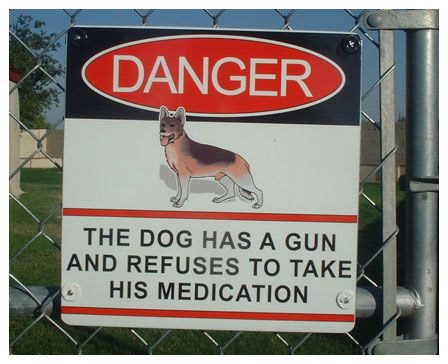 The dog has a gun