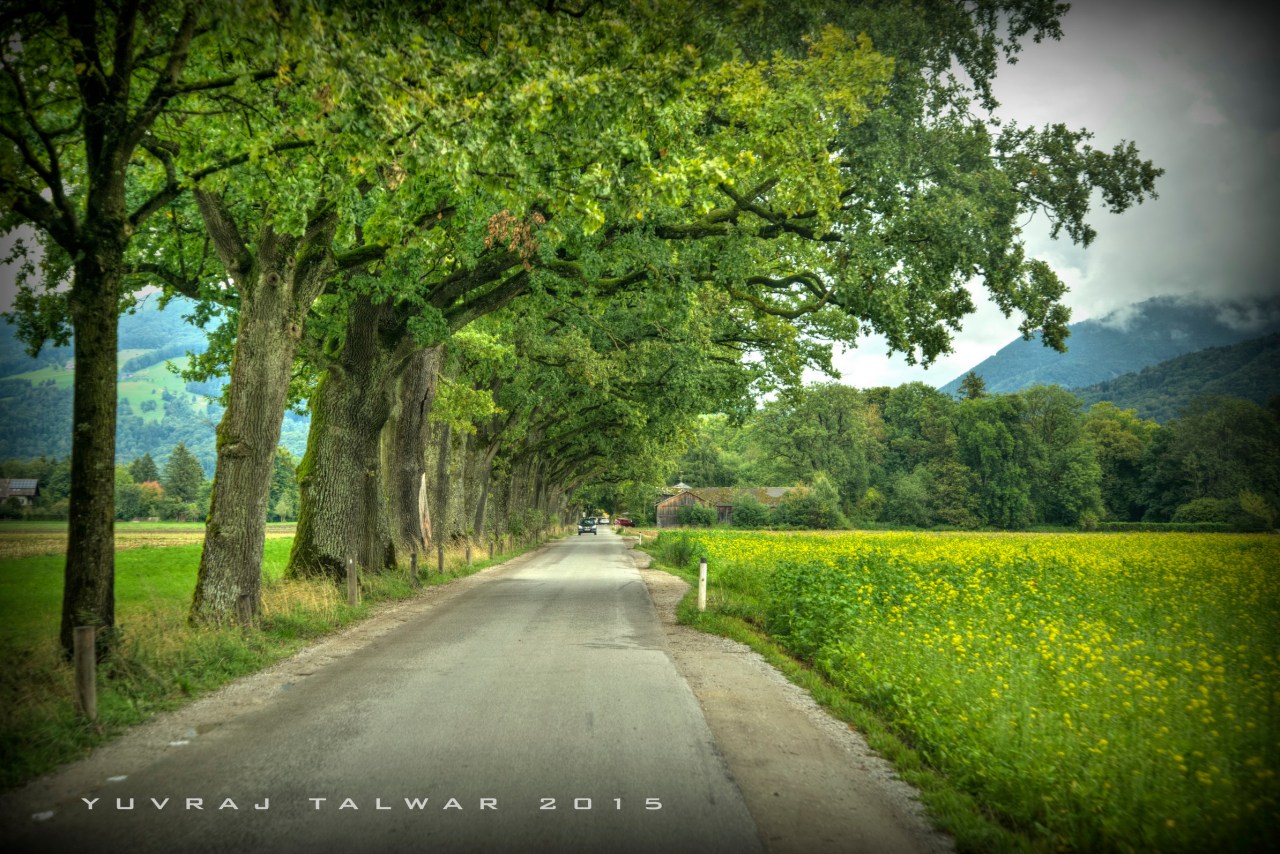 DSC_4209__1__2_tonemapped