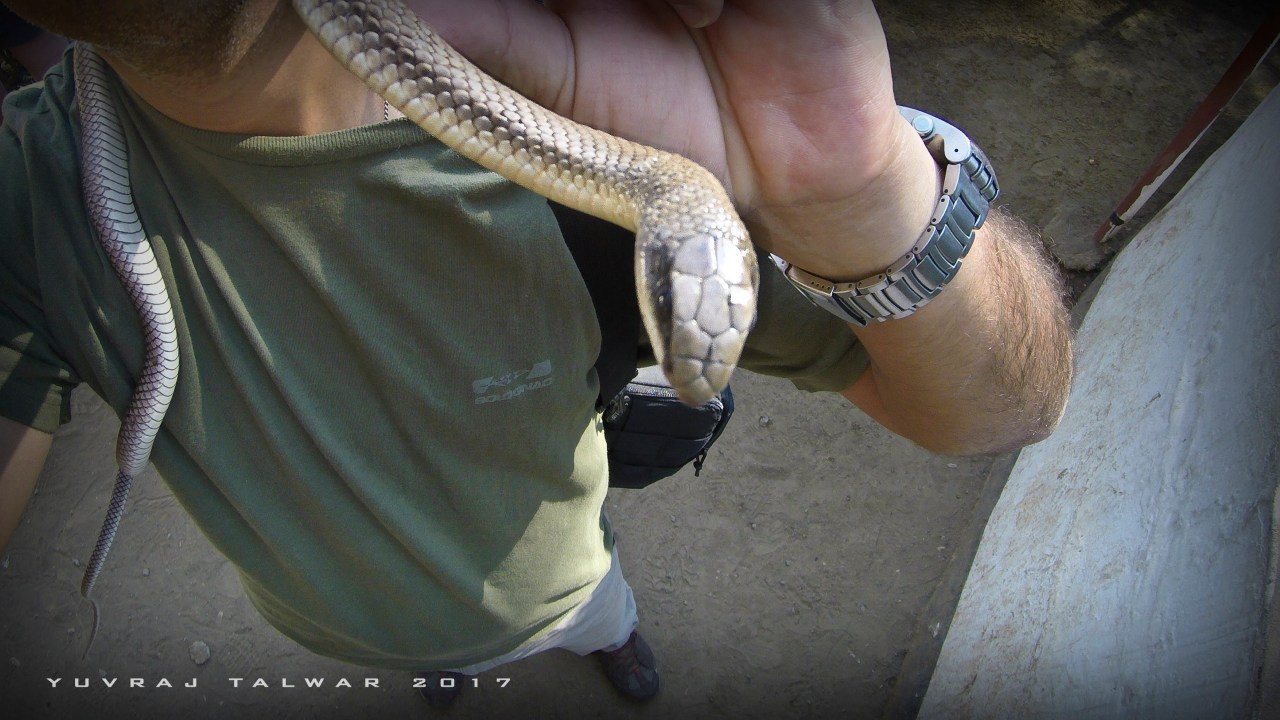 DCIM100GOPROG0060193.