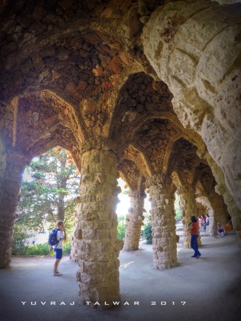 DCIM100GOPROGOPR2231.