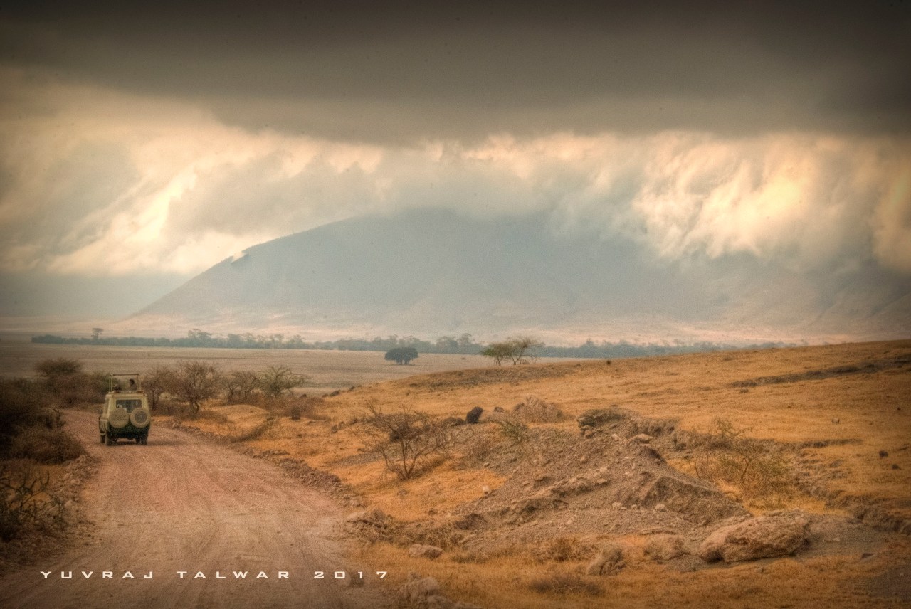PhotoPhobia – Serengeti, Tanzania